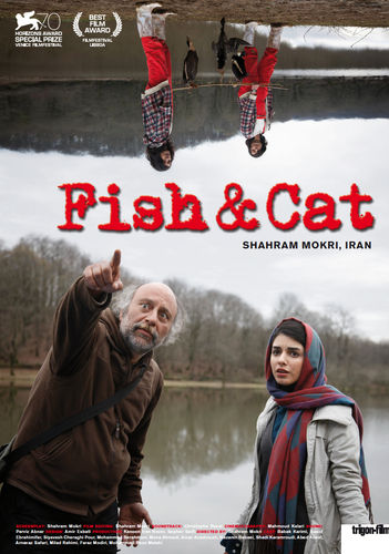 Fish &amp; Cat - Fisch und katze